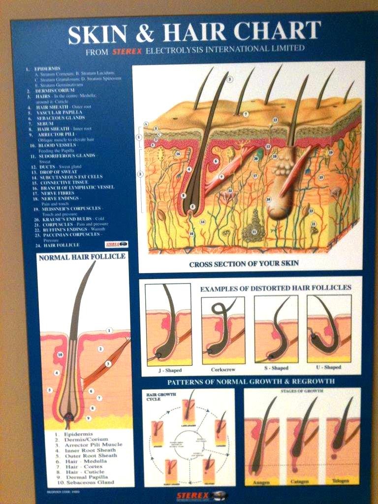 clinic-4